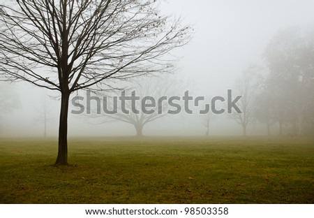 A foggy day at the Rhine River in Speyer Germany