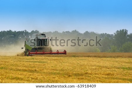 Huge Wheat Field