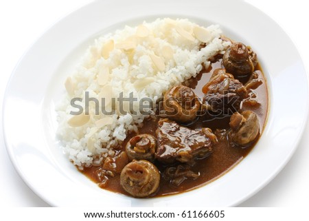 Japanese Curry , Beef Curry with Rice