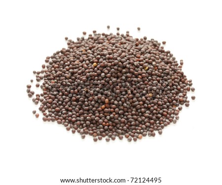 Indian Mustard Seeds