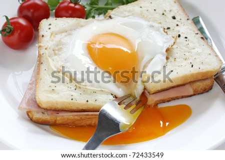 croque madame , french hot ham and cheese sandwich with fried egg