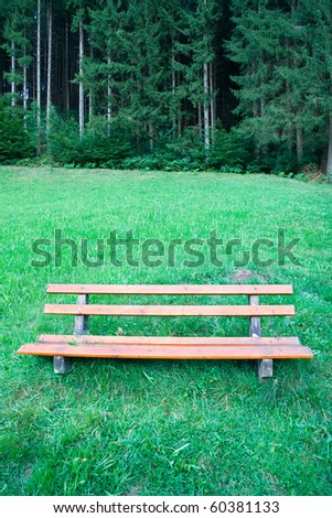 Bench in a nature park in the Black Forest, Germany