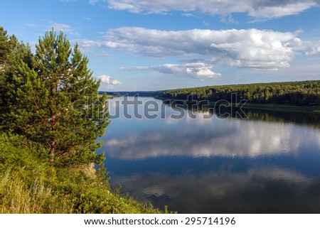 Lonely pine, wild river, cloud reflected, wild forest in Russia, Siberia