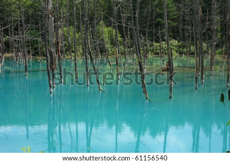 Small Blue Pond