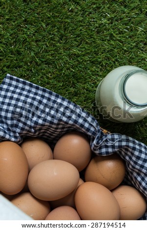 Chicken Eggs Background / Eggs Background / Eggs with Milk on Grass Background