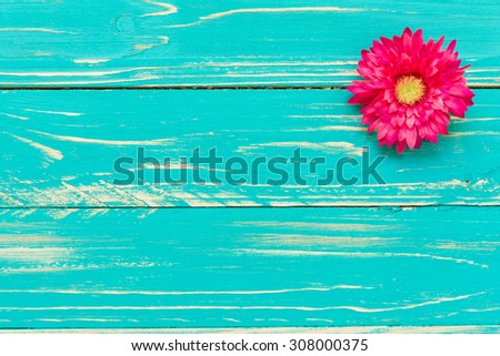 Pink Flower Background / Pink Flower / Pink Flower on Vintage Wooden Background