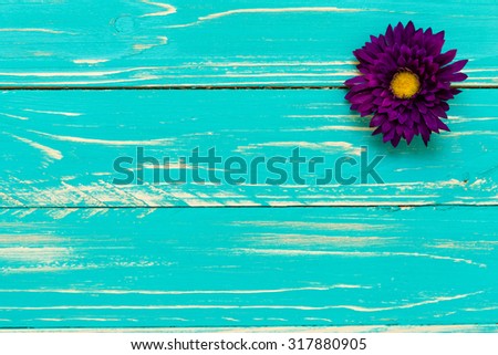 Purple Flower Background / Purple Flower / Purple Flower on Vintage Wooden Background