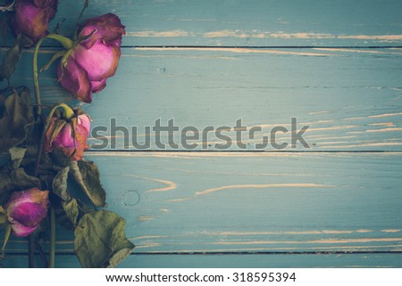 Withered Flower Vintage Background / Withered Flower Vintage / Withered Flower on Vintage Background