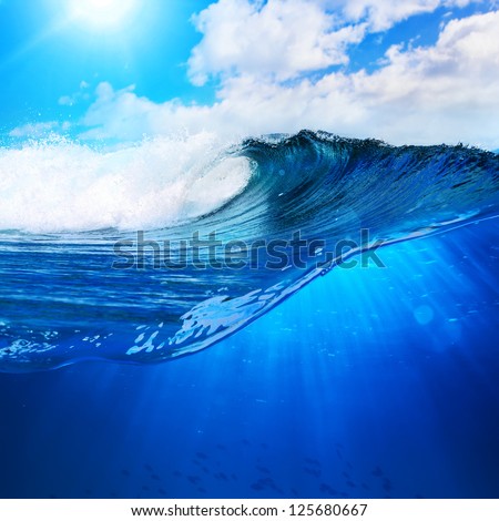 design template with underwater part and sunset skylight splitted by waterline design template with underwater part and sunset skylight splitted by waterline