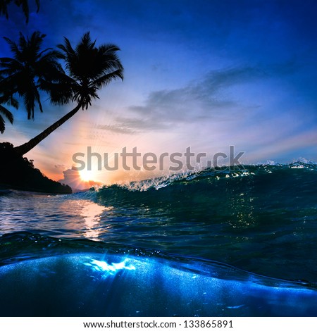 Beautiful Tropical Palm Beach With Yellow Sand Breaking Splashing Shorebreak Under Sunset