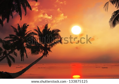 Tropical beach with palm trees at sunset time and reflections on water surface.