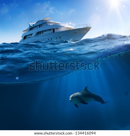 Underwater Splitted By Waterline Postcard Template. Bottlenose Dolphin Swimming Under Boat