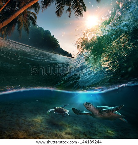 Tropical Paradise Template With Sunlight. Ocean Surfing Wave Breaking And Two Big Green Turtles Diving Underwater