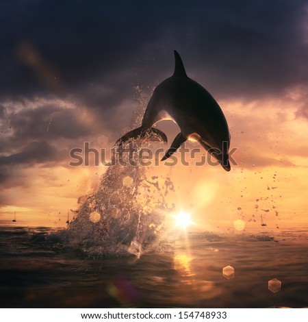 Beautiful Sunset time at the sea and playful dolphin leaping water with splashes