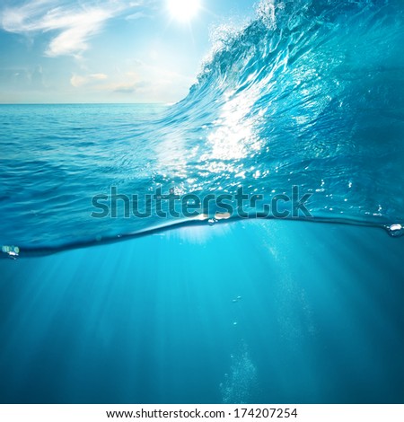 Ocean view design template with underwater part and sunset skylight Ocean view design template with underwater part and sunset skylight