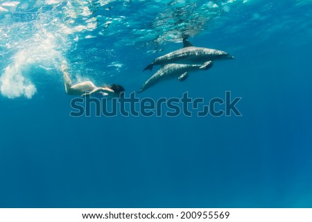 a pair of dolphins playing with beautiful girl underwater