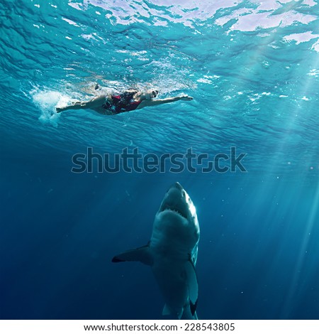 Great White Shark attack swimmer
