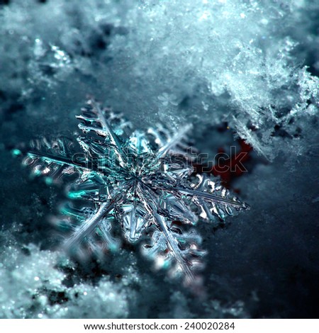 Macro Snowflake as background for xmas postcard design