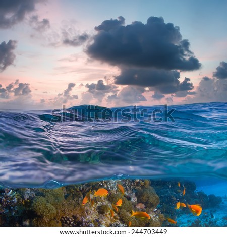 Transparent sea with sunset sky and underwater world discovered