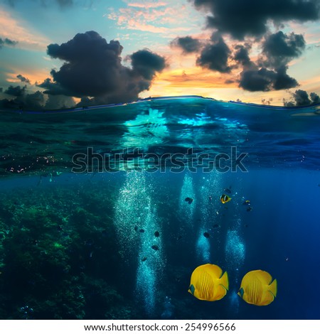 Abstract underwater scenery for your design template. Sunset sky above and coral reef with divers air bubbles and yellow fish under water line