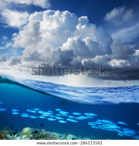 Indian ocean half water shoot. Daylight in Sky and underwater world with corals and shoal of blue fish discovered.