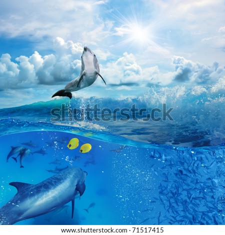 Oceanview with sunlight. A flock of playful dolphins swimming underwater and one of them leaping out from big sea surfing wave