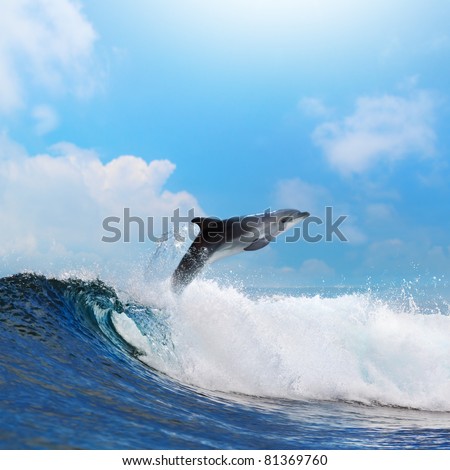 oceanview dolphin jumping from the sea through surfing wave