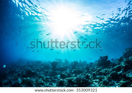 An ocean underwater reef with sun light through water surface. Coral bottom with fish silhouettes as marine aquatic background. Natural background.