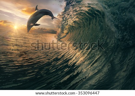 Big ocean breaking wave and sunset dolphin leaping.