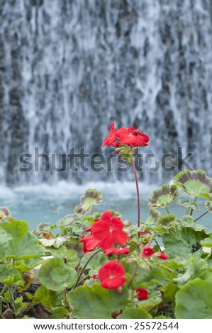 Red flowers in front of a waterfall that is in depth of field