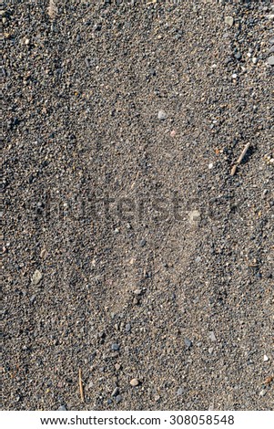 Abstract Background Texture of Gravel, Dirt, and Twigs