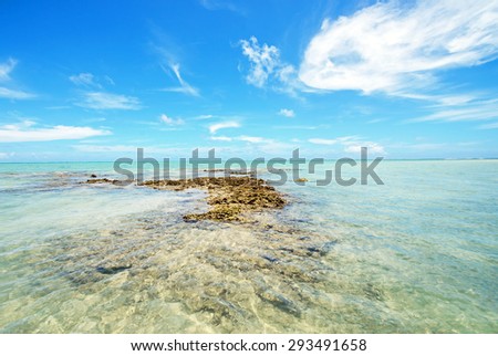 Beautiful reef landscape, Okinawa, Japan