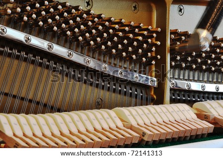 Tuning the piano by adjusting the pegs