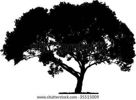 tree silhouette wallpaper. stock vector : tree silhouette