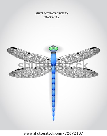 Dragonfly. Vector Illustration - 72672187 : Shutterstock