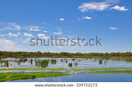 Western Australia Wetlands landscape with a blue sky and clouds/Cockburn Wetlands Landscape under a Blue Sky/Western Australia