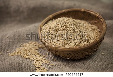 a pile of rice in pannier and burlap bag