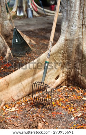 Rakes and shovels used for landscaping and yard work
