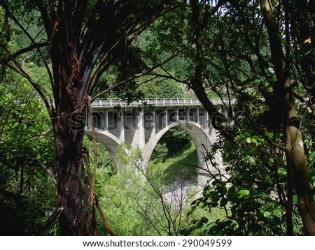 Balance bridge at south end of the Manawatu Gorge framed by tree ferns