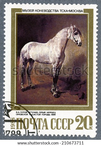 USSR - CIRCA 1988: A stamp printed in USSR - gray stallion, by V.A. Serov, 1886, series Moscow Museum of Horse Breeding, circa 1988