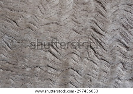 Wavy bark texture of a dead wood