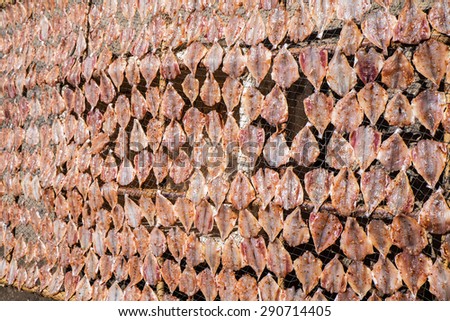 garland of salted and dried fish on wooden wall