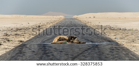 A dead horse lies wrapped in a carpet in the middle of a road built across undeveloped reclaimed land now used by teenage boys to drift cars at night. Taken in Bahrain.