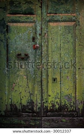 Old wooden door in an italian village
