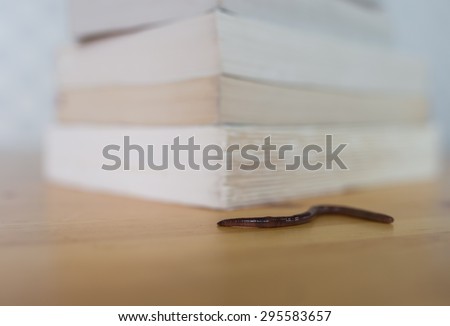 Bookworm. Real earthworm on wooden table next to books