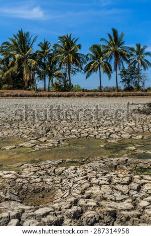 Dried earth because of rain dose not fall and the land lacked of water for agriculture near Bangkok In the strong sunlight, ideal for models of global warming.