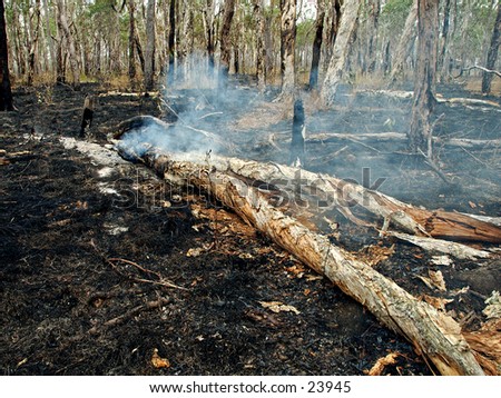 Bush fire, wild fire in Queensland, Australia