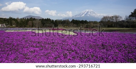 Fuji flower show, Japan