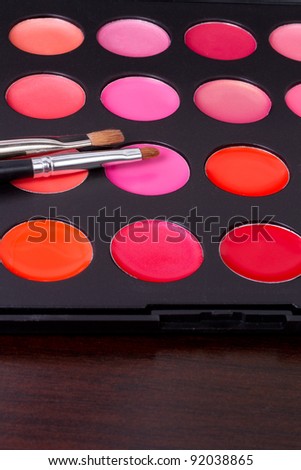 professional  lip gloss make-up multicolor palette with brushes