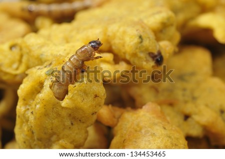 Fried mealworms as food for humans